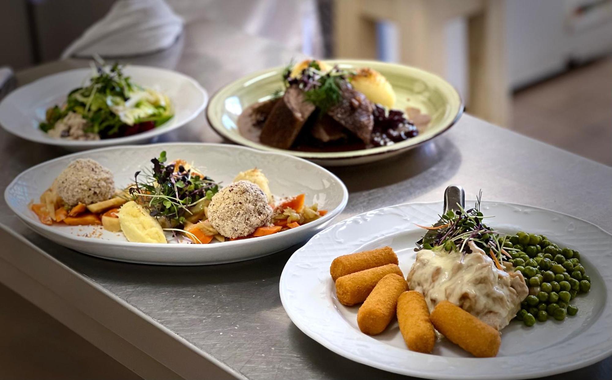 Traditionsgasthaus Goldener Loewe Riesa Restaurant & Pension 외부 사진